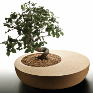 SURFACE - Bol décoratif